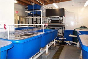 DMC incubator lab2